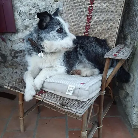 Le Peyrail Couette-café 3*