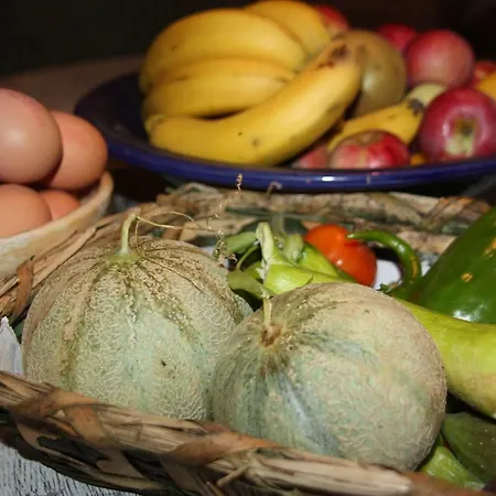 Couette-café Le Peyrail