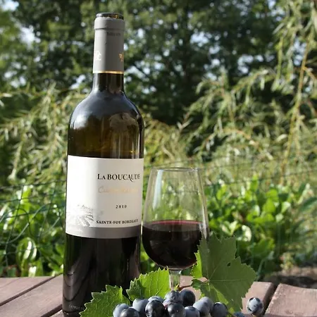 Le Peyrail Couette-café Les Lèves-et-Thoumeyragues