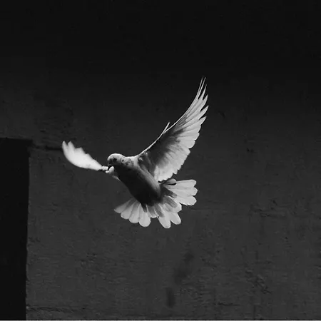 Le Peyrail Bed & Breakfast 3*