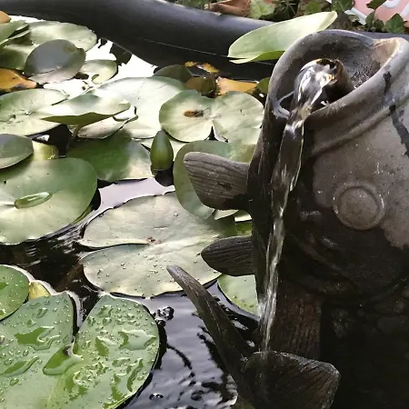 Le Peyrail Couette-café