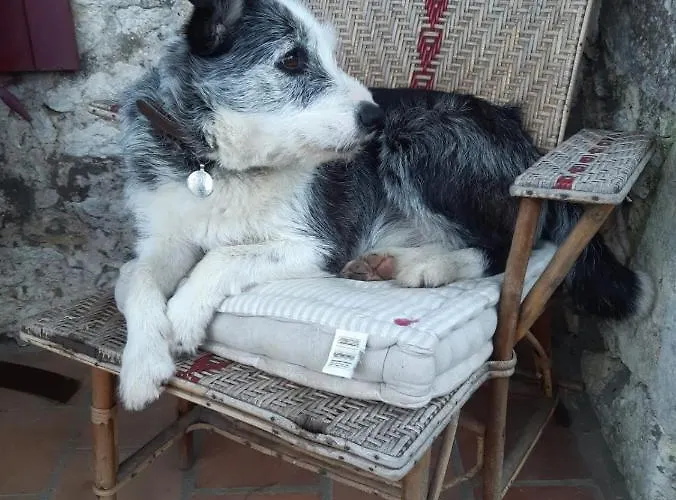 Le Peyrail Bed & Breakfast 3*