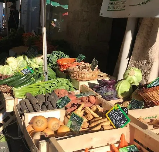 Le Peyrail Bed & Breakfast Les Lèves-et-Thoumeyragues