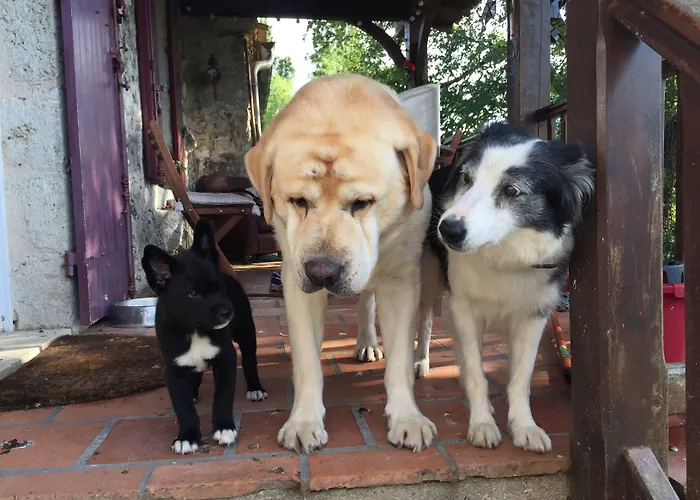 Le Peyrail Bed & Breakfast