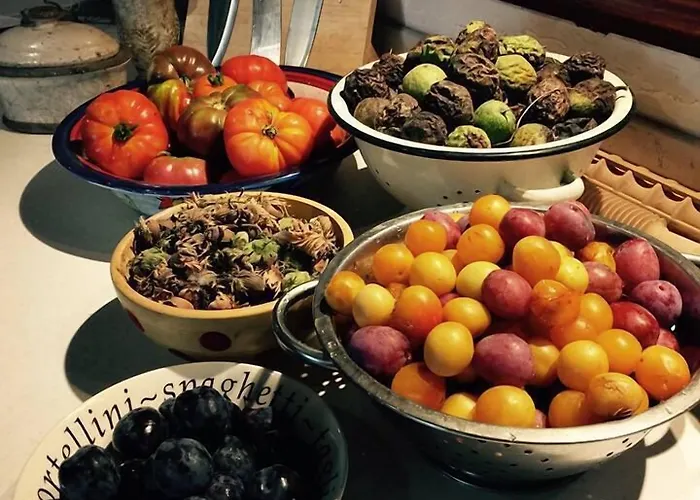 Le Peyrail Bed & Breakfast