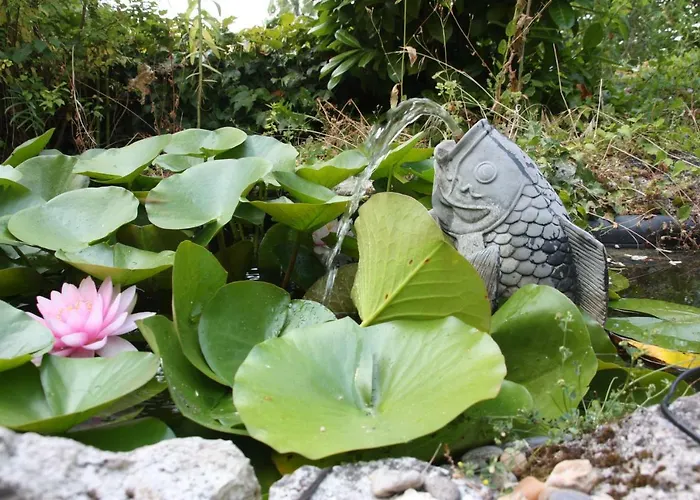 Bed & Breakfast Le Peyrail