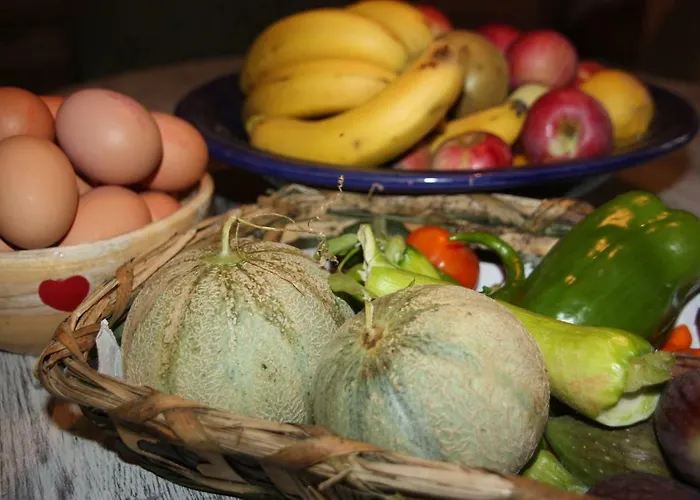 Bed & Breakfast Le Peyrail