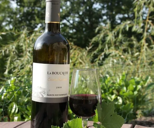 Le Peyrail Bed & Breakfast Les Lèves-et-Thoumeyragues