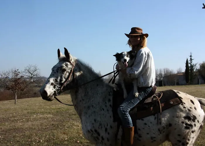 Bed & Breakfast Le Peyrail 3*