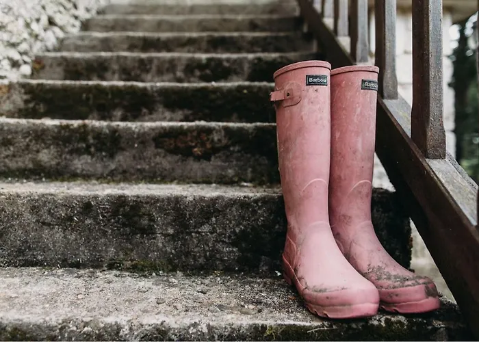 Bed & Breakfast Le Peyrail 3*