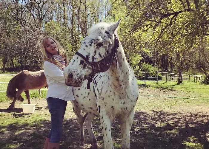 Bed & Breakfast Le Peyrail Les Lèves-et-Thoumeyragues