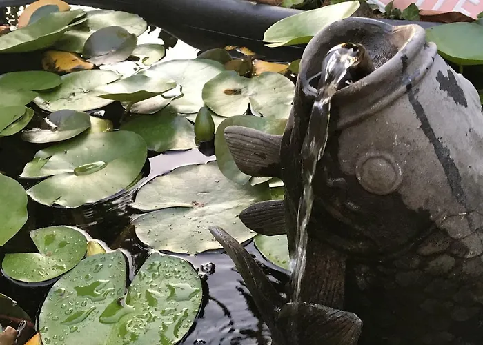 Le Peyrail Bed & Breakfast