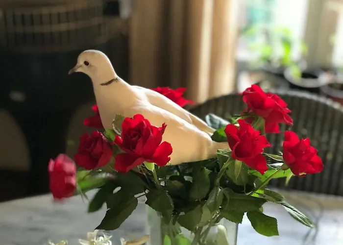 Le Peyrail Bed & Breakfast